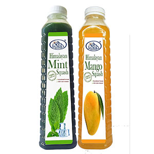 Mint and Mango Juice