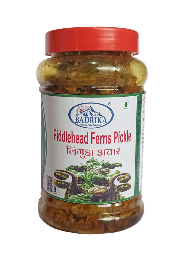 Badrika Home-Made Linguda/ Fiddlehead Ferns Pickle 400g - Image 3